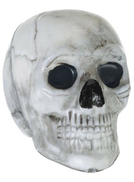 Pack of 5 Mini Halloween Skull Decorations - Main Image