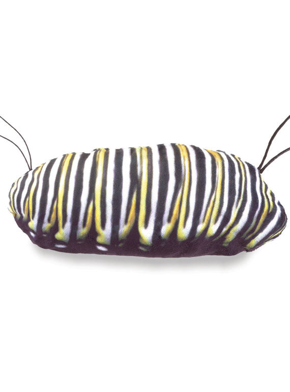 Monarch Butterfly Life Cycle Puppet - Alternate Image 1
