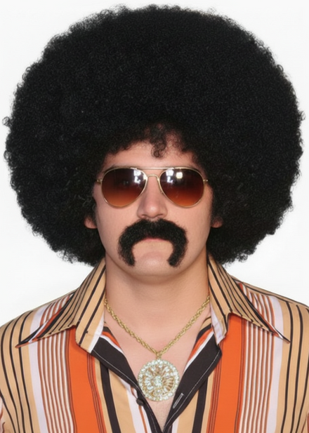 Mens Black Frizzy Mr Cool Afro Costume Wig - Main Image