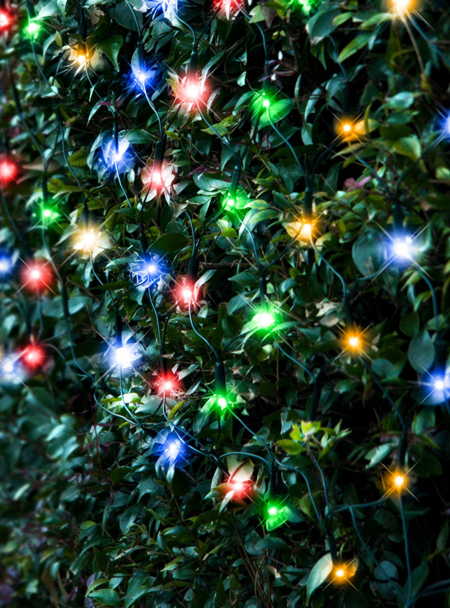 Multicolour 250 Bulb Solar Powered Net Christmas Lights - Main Image