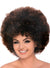 Adults Unisex Brown Afro Costume Wig