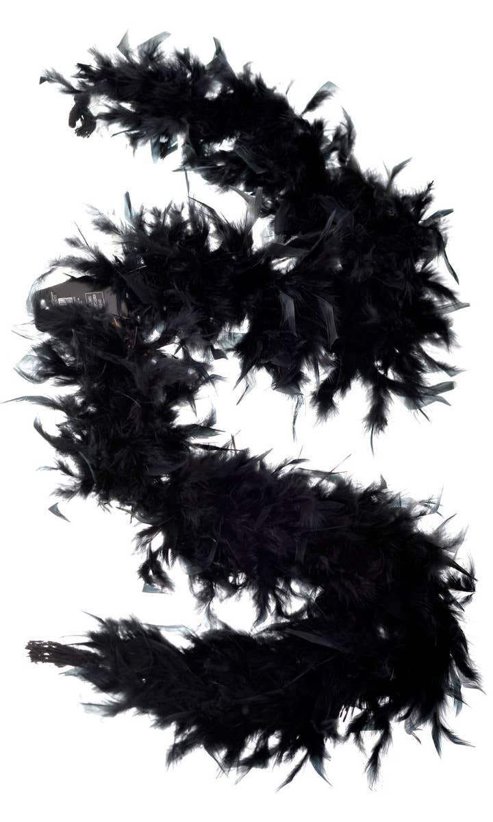 Deluxe Black Feather Boa 1920's Costume Accessory - Main Image