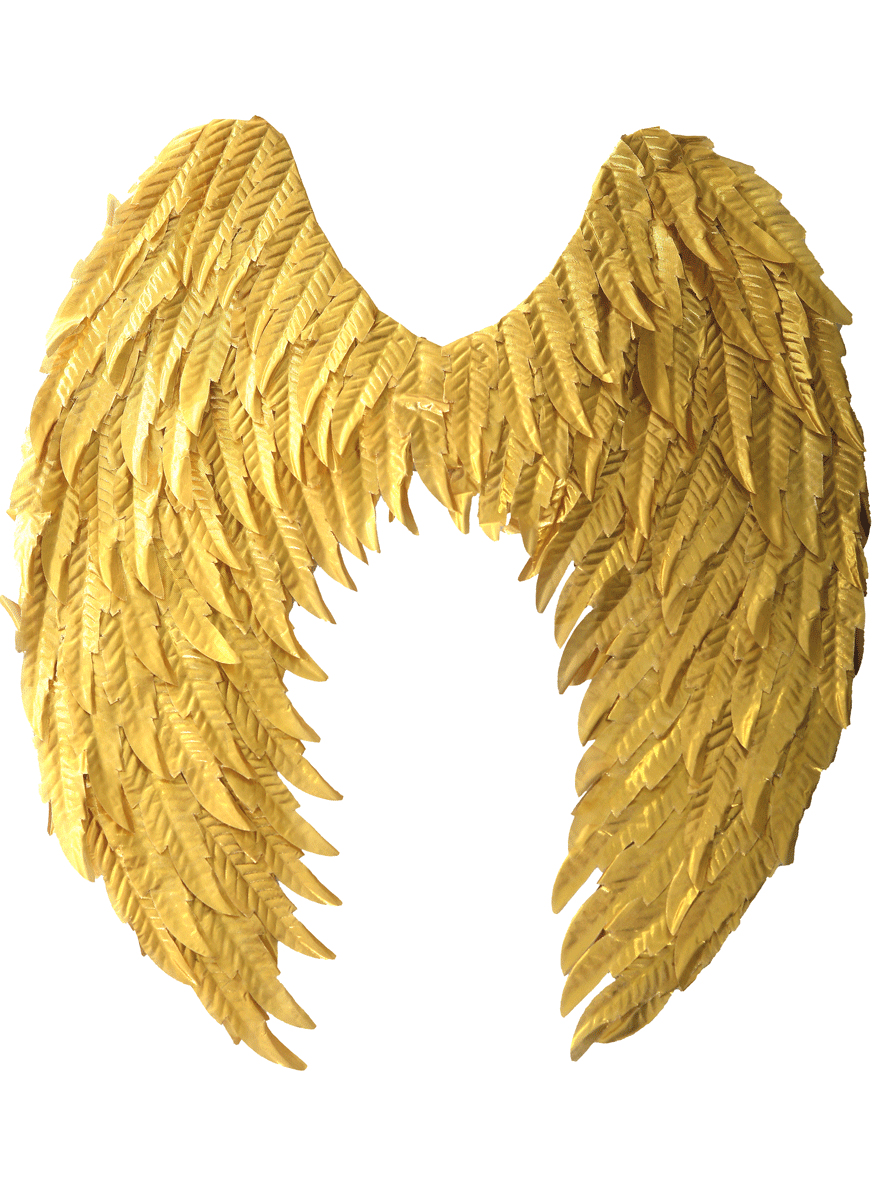 Large Metallic Gold Angel Wings Costume Accessory