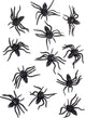 12 Black Plastic Spiders Halloween Decoration