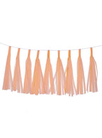Image of Pastel Matte Peach 9 Pack 35cm Of Decorative Tassels - Main Image