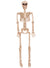 90cm Posable Human Skeleton Halloween Decoration Prop