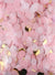Image of Pink and Gold 20 Gram Bag of Confetti