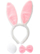 Image of Fluffy White and Pink Bunny Rabbit Accessory Set