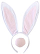 Image of Classic Pink and White Bunny Ears and Tail Accessory Set - Main Image