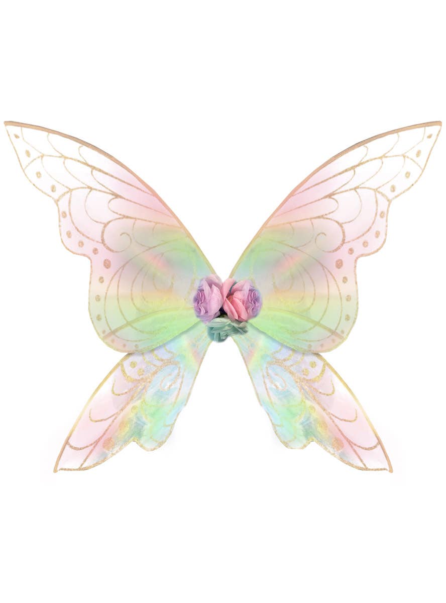 Image of Pink Rainbow Iridescent Shimmery Fairy Costume Wings