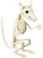 Image of Rat Skeleton 17cm Halloween Decoration