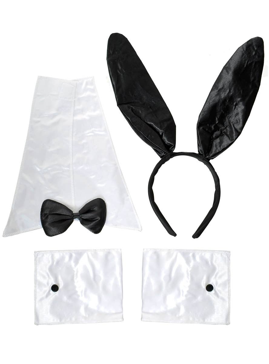 Image of Play With Me Sexy Bunny Accessory Kit