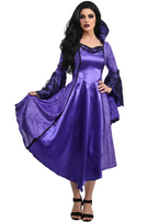 Long Purple Satin Women's Medieval Vampire Queen Costume - Main Image