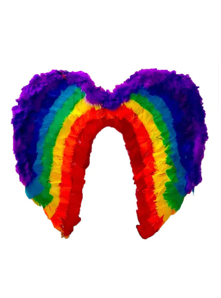 Adults Rainbow Feather Costume Wings