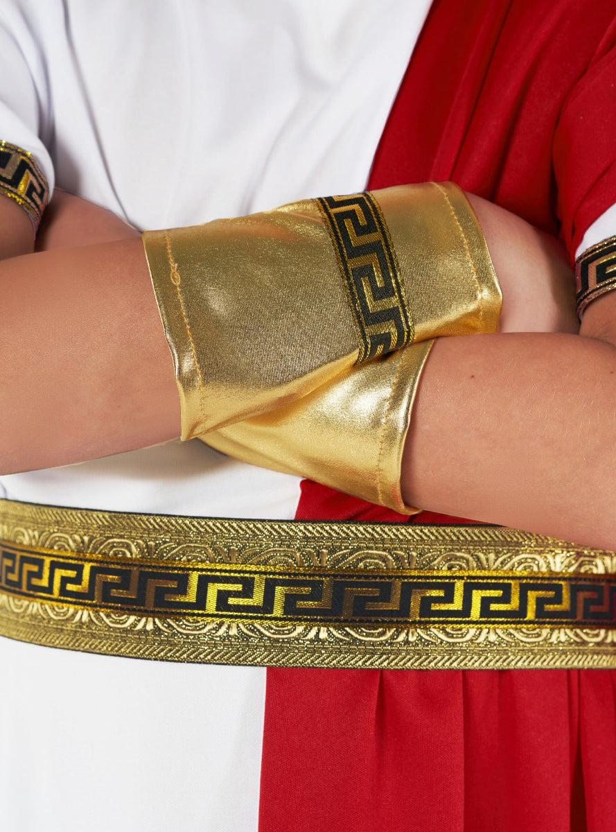 Roman Toga Boys Ancient Times Costume - Close Image 1
