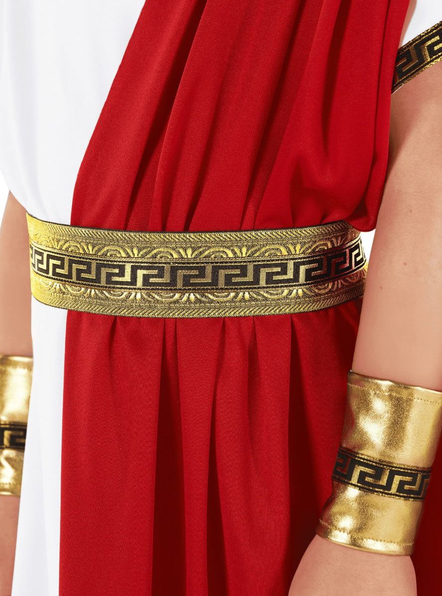 Roman Toga Teen Boys Ancient Times Costume - Close Image 2