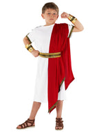Roman Toga Teen Boys Ancient Times Costume - Main Image