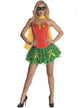 DC Robin Sexy Women's Superhero Fancy Dress Costume Main Image