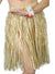 Short Natural Grass Skirt Costume Accessory