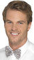 Image of Sequinned Silver Satin Novelty Bow Tie