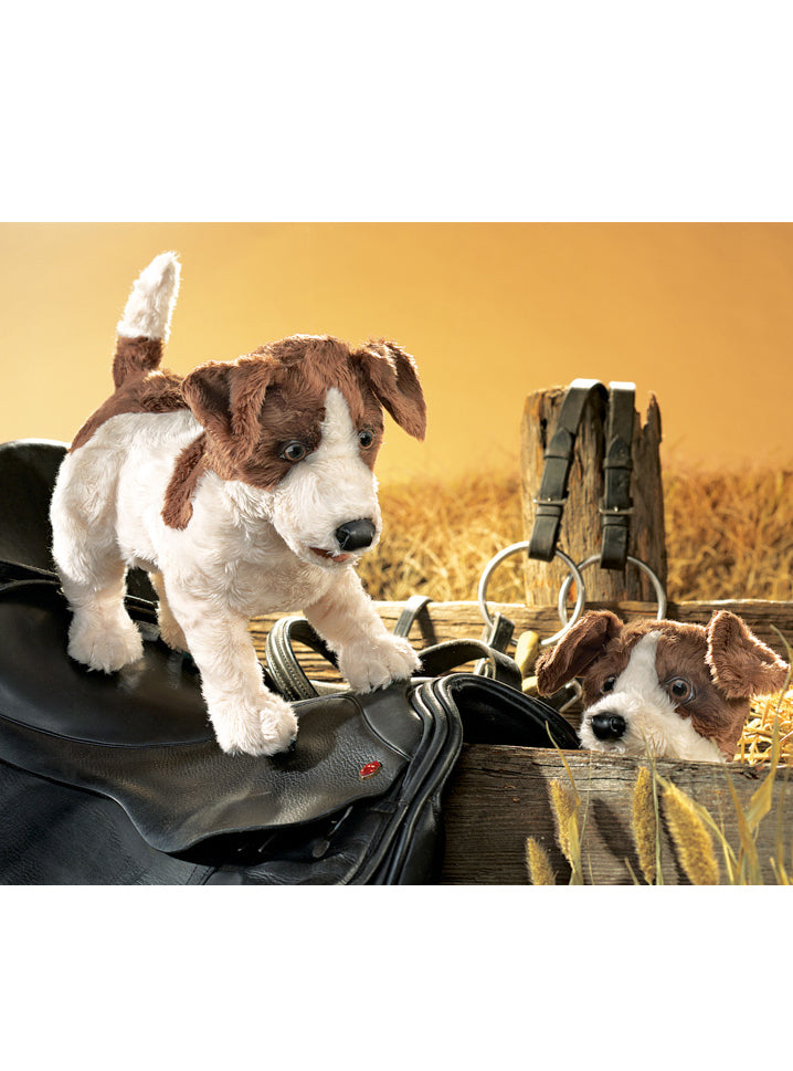 Smooth Coat Jack Russell Dog Puppet - Lifestyle Image 2
