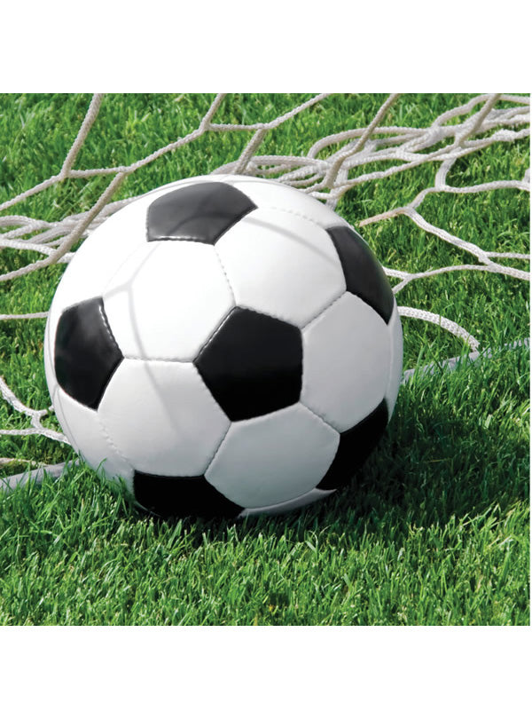 Soccer Fanatic 16 Pack Sports Party Lunch Napkins – Main Image