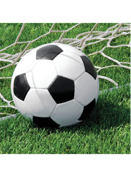 Soccer Fanatic 16 Pack Sports Party Lunch Napkins – Main Image