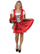 Classic Storybook Little Red Riding Hood Women's Costume