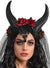 Lacy Black Devil Horns Headband with Red Roses and Veil - Main View
