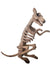 Large Plastic Skeleton Rat Halloween Decoration