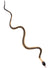 45cm Black and Cream Plastic Rubber Snake Prop
