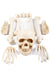Bag of Bones Skeleton Halloween Decoration - Main Image