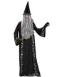 Black Velvet Mr Wizard Men's Merlin Costume