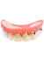 Gold and Silver Fake Costume Teeth
