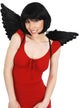 Mini Black Dark Angel Feather Costume Wings