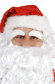 Bushy White Santa Claus Eyebrows Main Image
