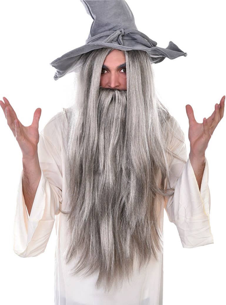 Men's Long Grey Wizard Costume Wig and Beard Costume Accessory