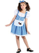 Girls Blue Gingham Oz Dorothy Book Week Costume main image
