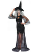 Women's Sexy Black Witch Halloween Fancy Dress Costume