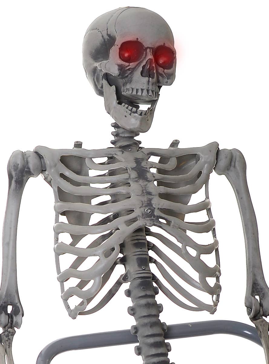 Life Size Skeleton Prop with Light Up Eyes - Close Image