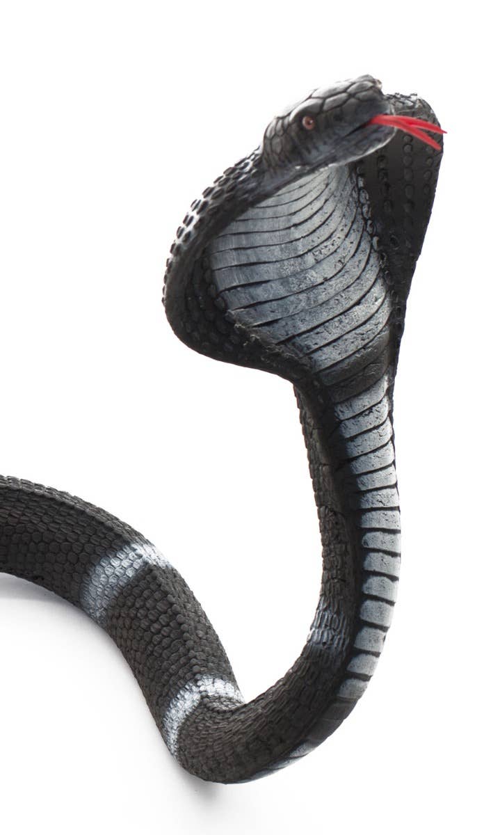Giant 2.1m Black And White Striped King Cobra Snake Serpent Halloween Prop Decoration Main Close Up Image