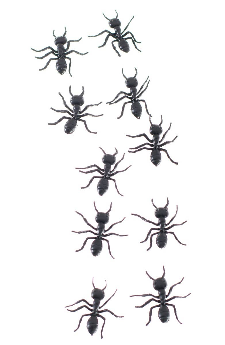 Black Rubber Fake Ants Pack of 10 Halloween Decorations Main Image