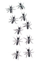 Black Rubber Fake Ants Pack of 10 Halloween Decorations Main Image