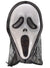 Scream Ghost Face Mask with Hood
