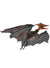 Animated Orange and Black Pterodactyl Dinosaur Halloween Decoration - Main Image