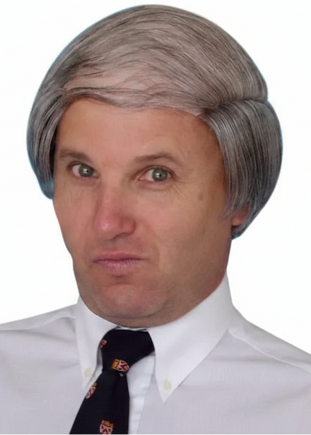 Mens Grey Old Man Tragic Combover Costume Wig- Main Image