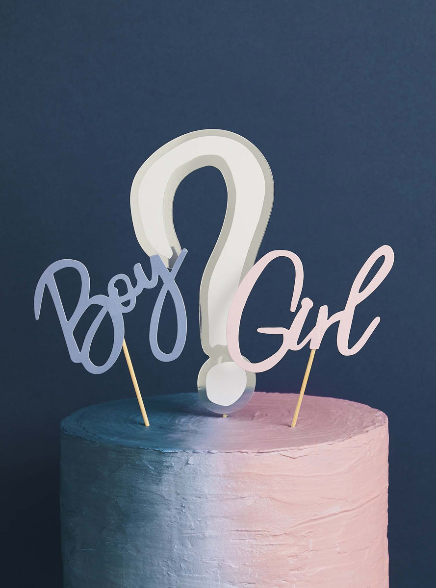 We Wonder What You Are 22cm Gender Reveal Party Cake Topper Set - Lifestyle Image