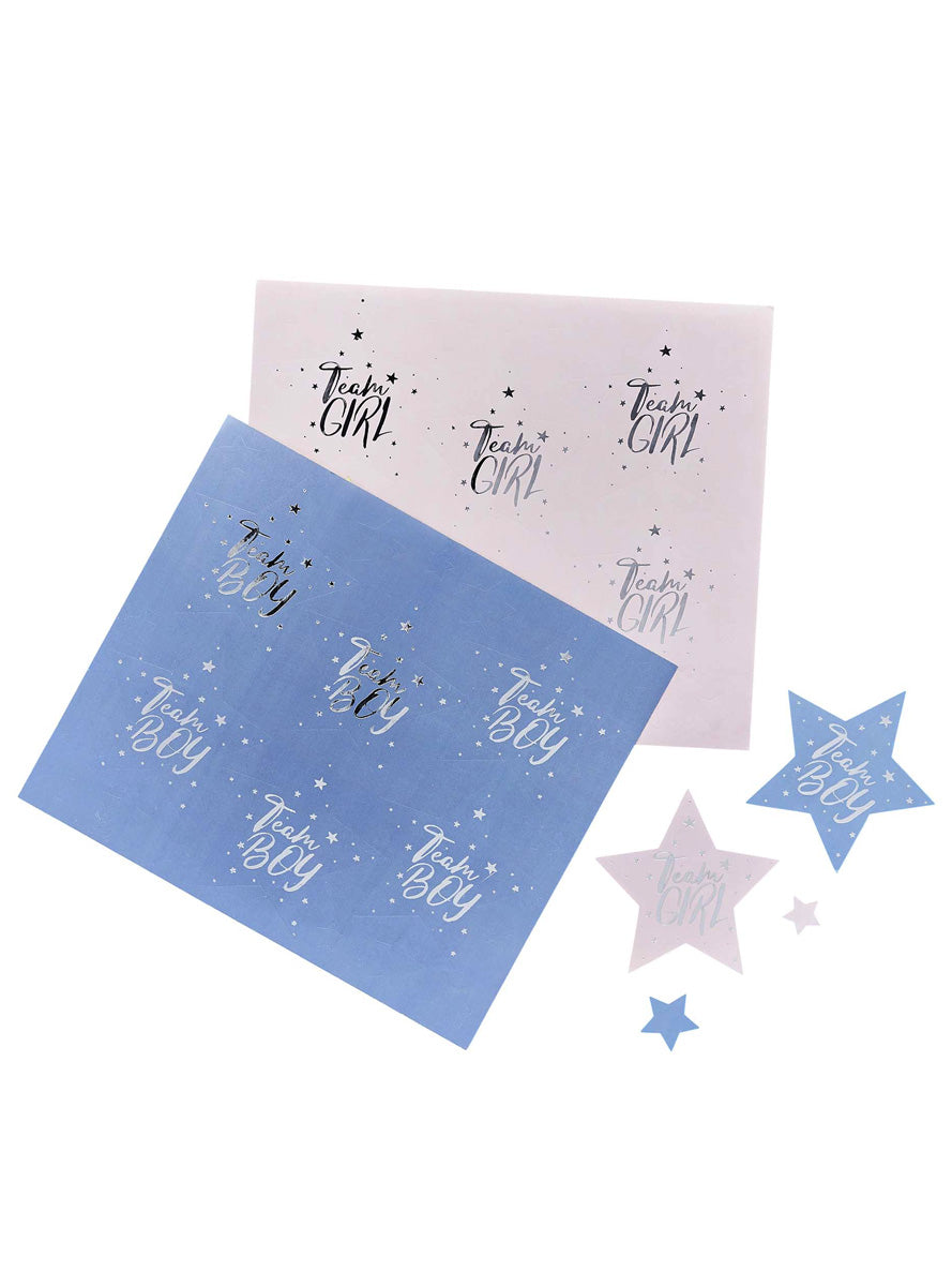 We Wonder What You Are 24 Pack Gender Reveal Stickers - Main Image