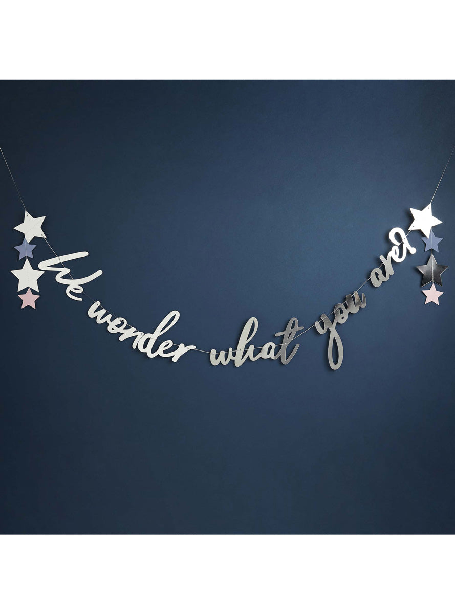 We Wonder What You Are 2m Long Silver Gender Reveal Party Banner - Lifestyle Image