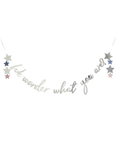 We Wonder What You Are 2m Long Silver Gender Reveal Party Banner - Main Image